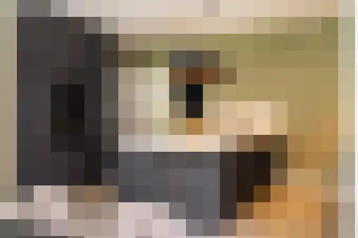 Ravensweerdsweg 3 Gorssel thumbnail 16