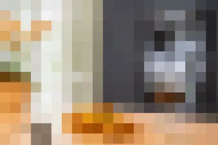 Ravensweerdsweg 3 Gorssel thumbnail 19