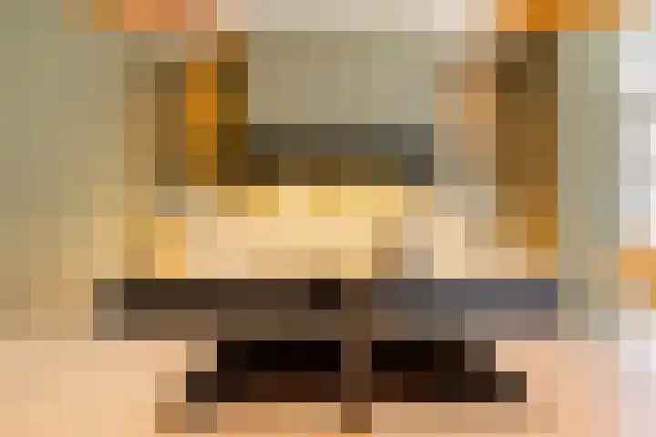 Ravensweerdsweg 3 Gorssel thumbnail 20