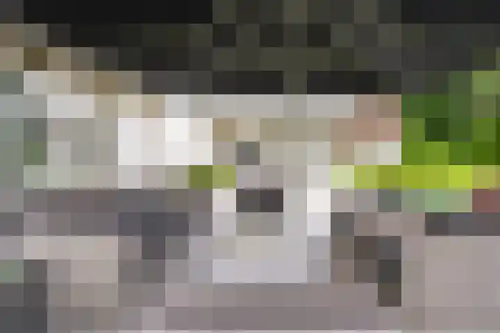 Ravensweerdsweg 3 Gorssel thumbnail 25