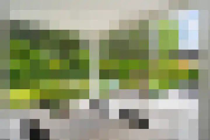 Ravensweerdsweg 3 Gorssel thumbnail 27