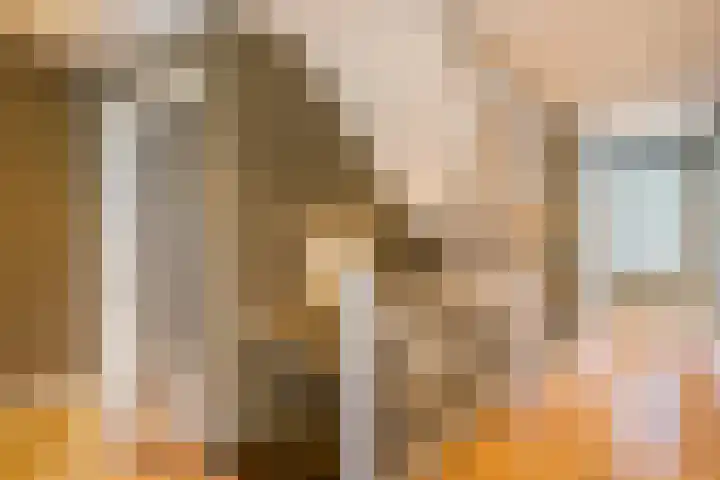 Ravensweerdsweg 3 Gorssel thumbnail 28