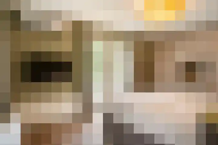 Ravensweerdsweg 3 Gorssel thumbnail 30