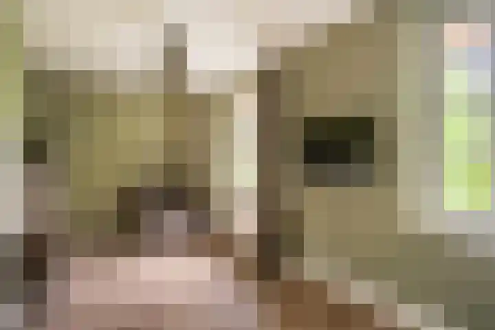 Ravensweerdsweg 3 Gorssel thumbnail 34