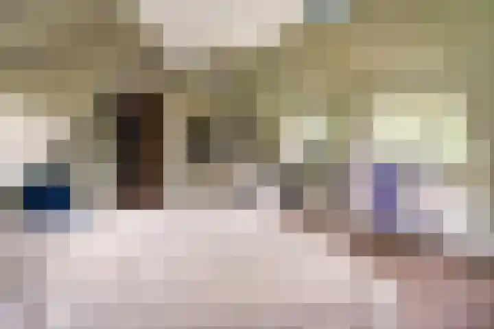 Ravensweerdsweg 3 Gorssel thumbnail 37