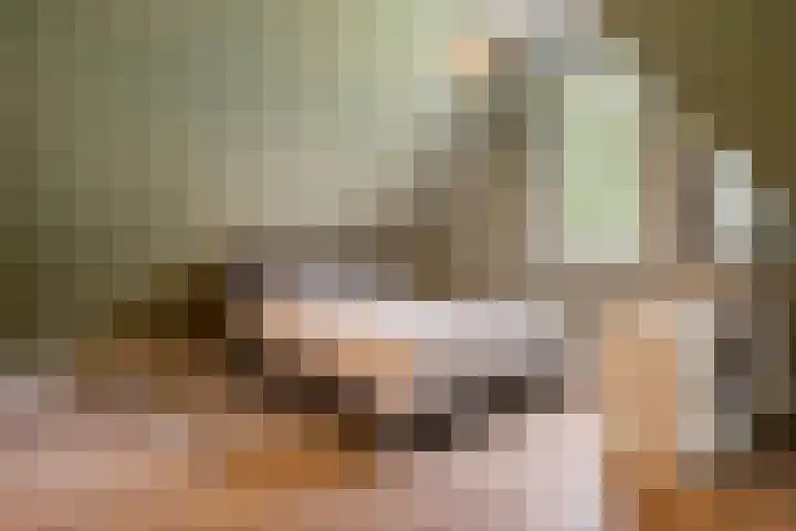 Ravensweerdsweg 3 Gorssel thumbnail 38