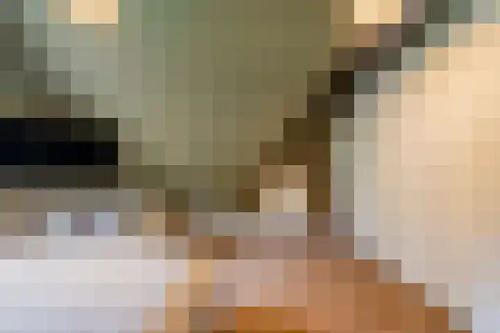Ravensweerdsweg 3 Gorssel thumbnail 39
