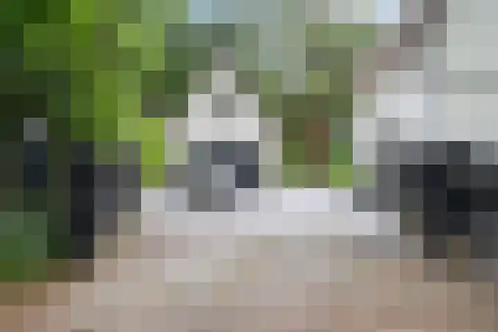 Ravensweerdsweg 3 Gorssel thumbnail 42