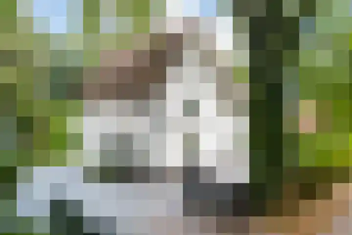 Ravensweerdsweg 3 Gorssel thumbnail 44