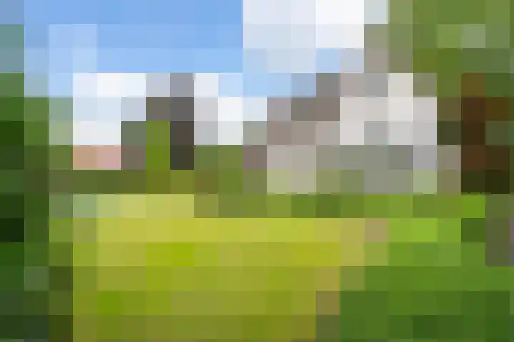 Ravensweerdsweg 3 Gorssel thumbnail 48