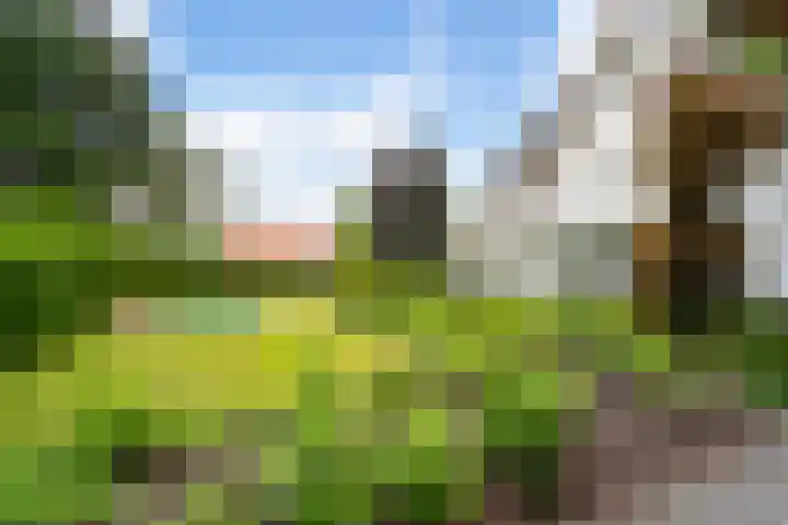 Ravensweerdsweg 3 Gorssel thumbnail 49