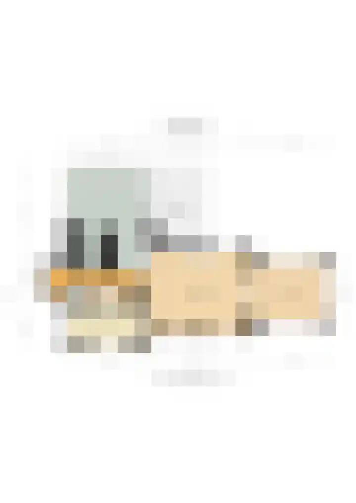 Ravensweerdsweg 3 Gorssel thumbnail 51