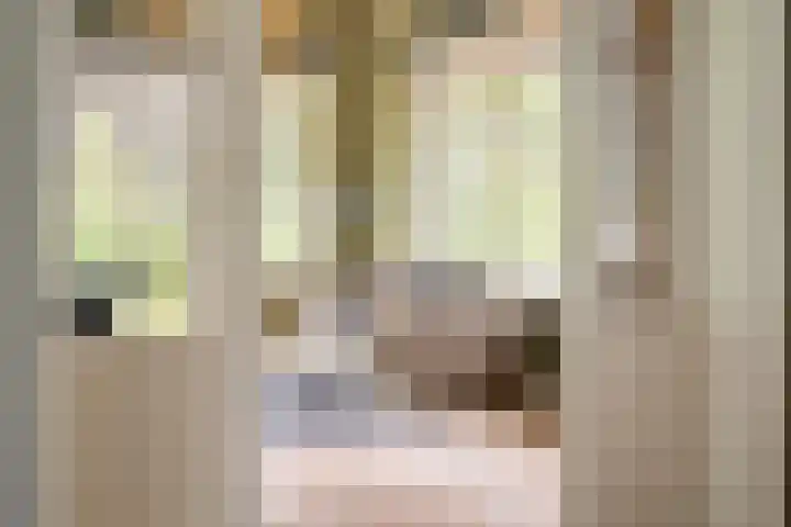 Ravensweerdsweg 3 Gorssel thumbnail 9