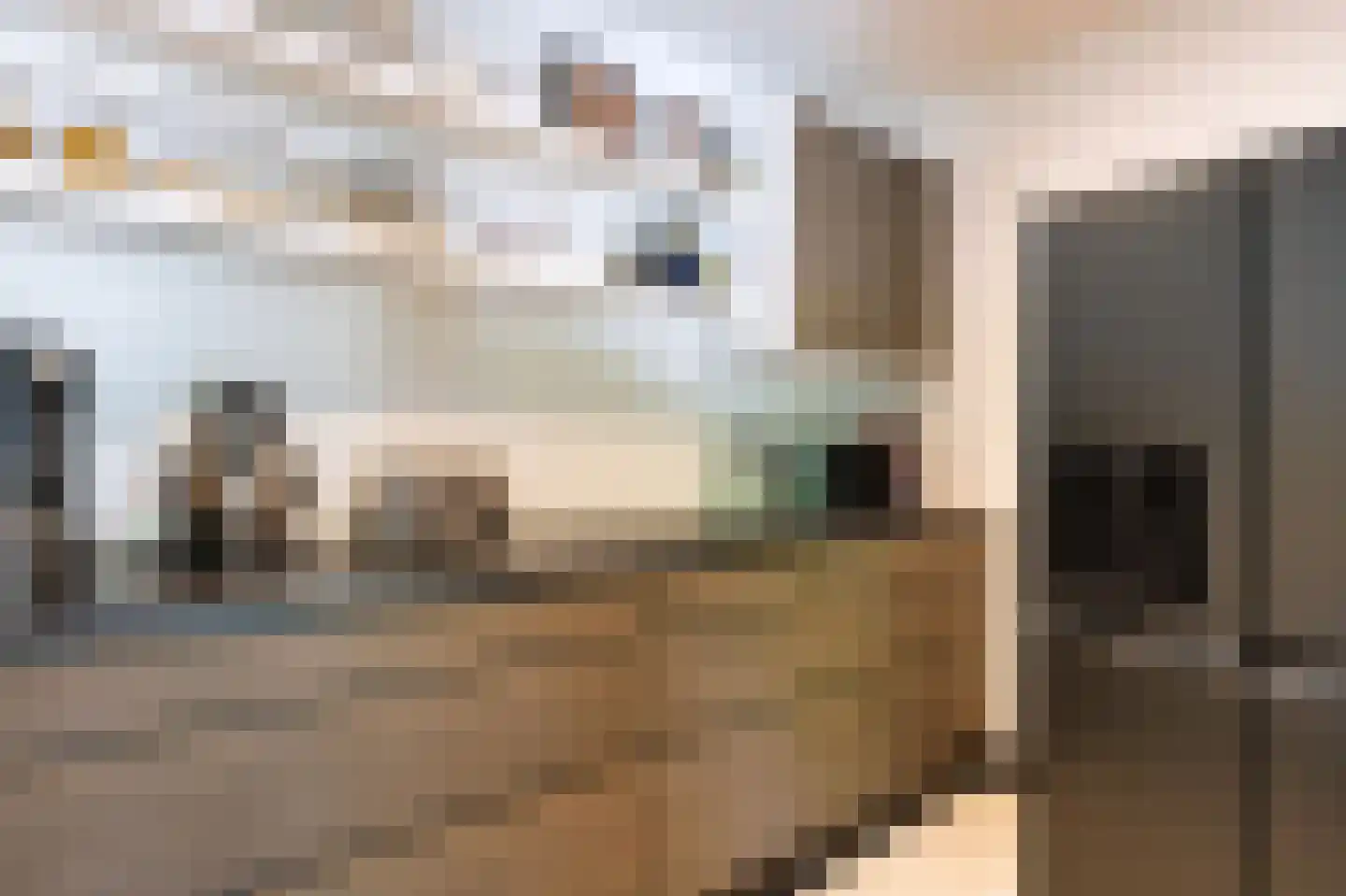 Ravensweerdsweg 8 Gorssel thumbnail 19