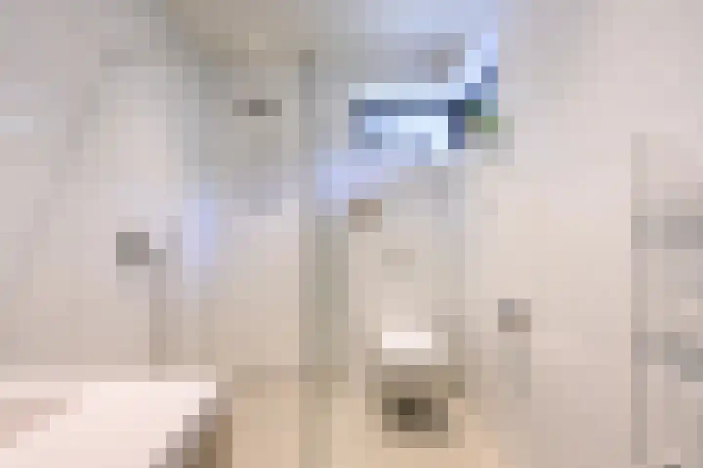 Ravensweerdsweg 8 Gorssel thumbnail 23