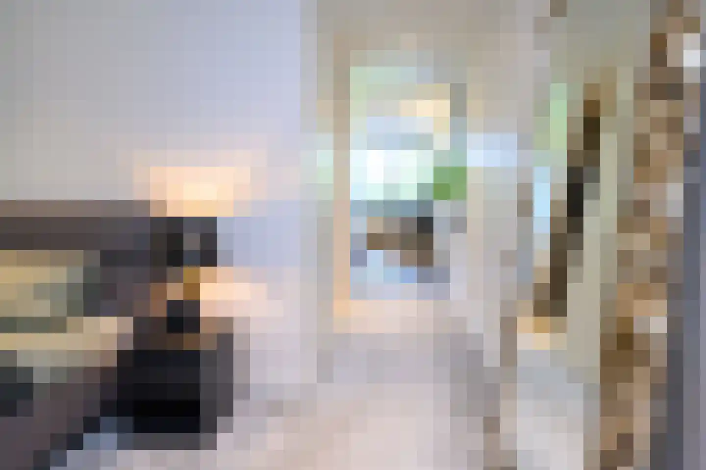 Ravensweerdsweg 8 Gorssel thumbnail 30