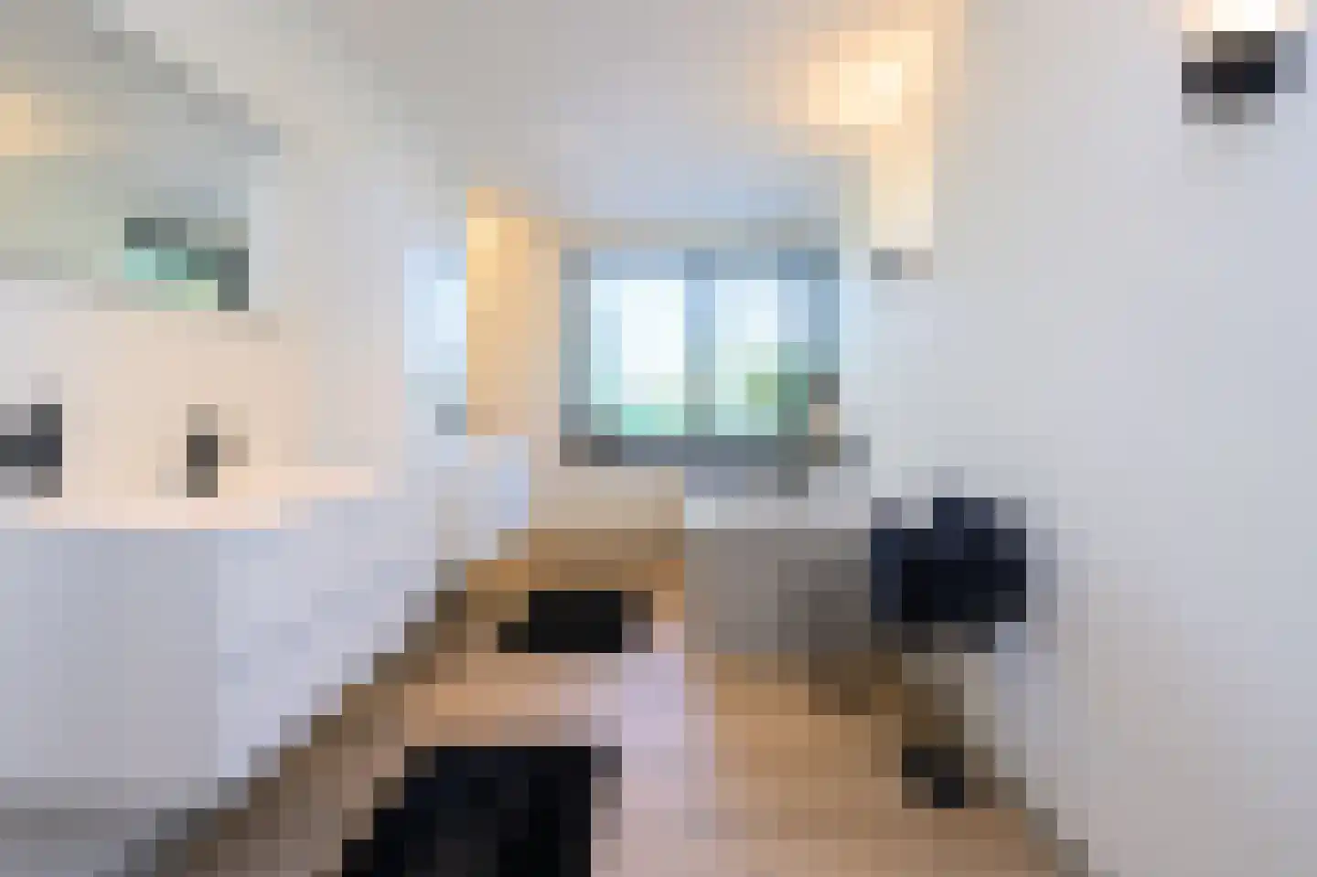 Ravensweerdsweg 8 Gorssel thumbnail 32