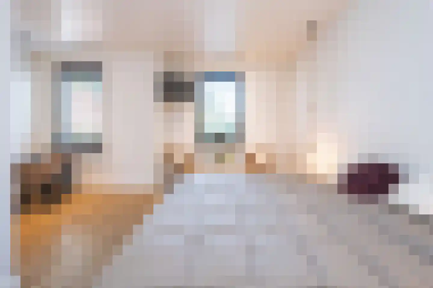 Ravensweerdsweg 8 Gorssel thumbnail 40