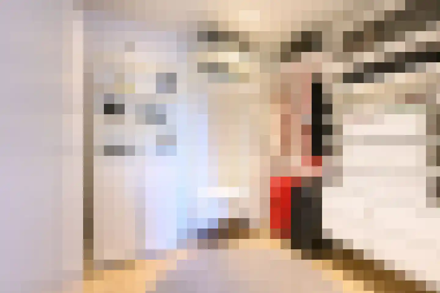 Ravensweerdsweg 8 Gorssel thumbnail 41