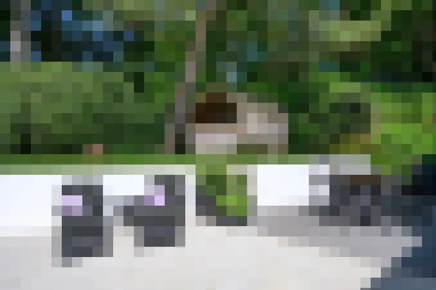 Ravensweerdsweg 8 Gorssel thumbnail 56