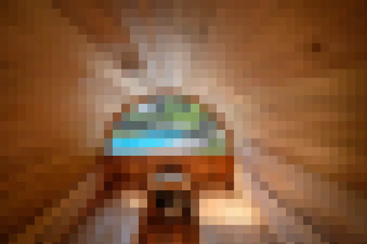 Ravensweerdsweg 8 Gorssel thumbnail 59