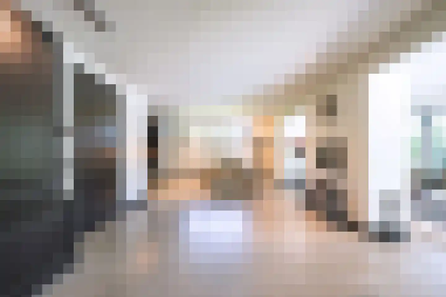 Ravensweerdsweg 8 Gorssel thumbnail 6