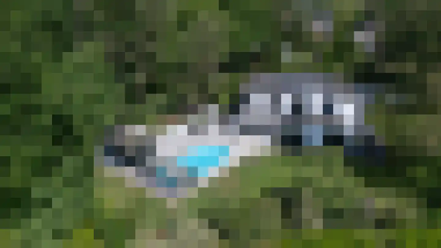 Ravensweerdsweg 8 Gorssel thumbnail 68