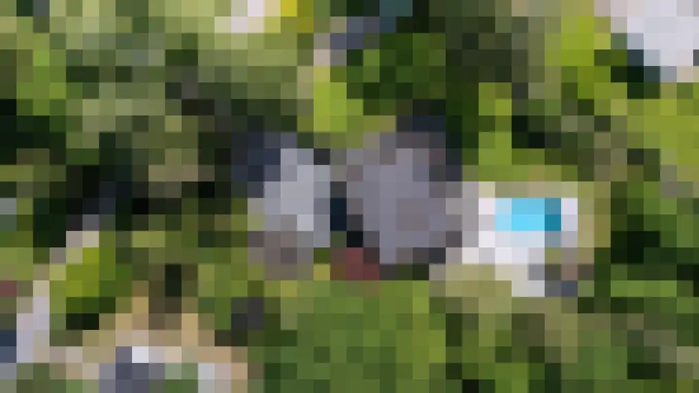 Ravensweerdsweg 8 Gorssel thumbnail 69