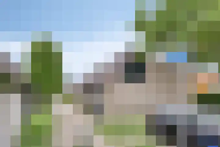 Ravenswey 19 Oud-Beijerland thumbnail 30