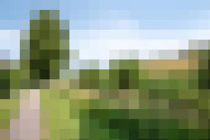 Ravenswey 19 Oud-Beijerland thumbnail 31