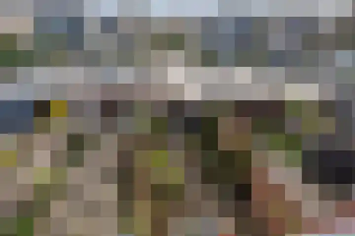 Ravenswey 42 Oud-Beijerland thumbnail 33