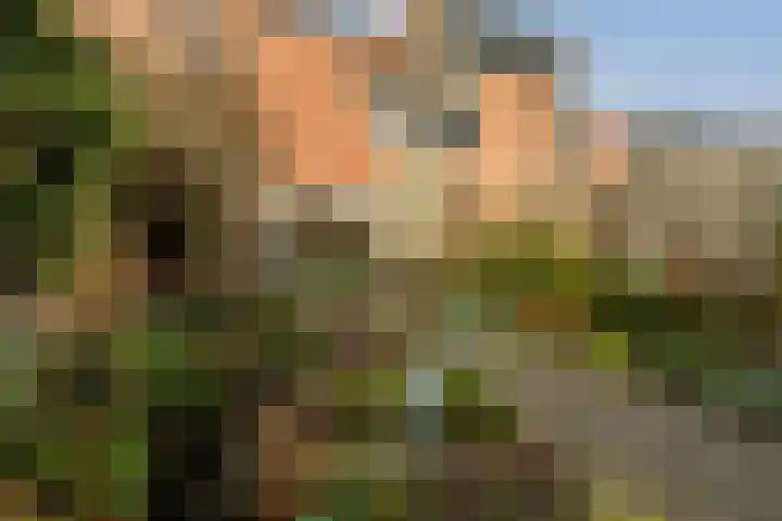 Ravenswey 42 Oud-Beijerland thumbnail 37