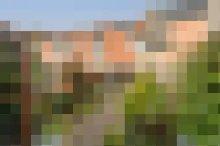 Ravenswey 42 Oud-Beijerland thumbnail 38