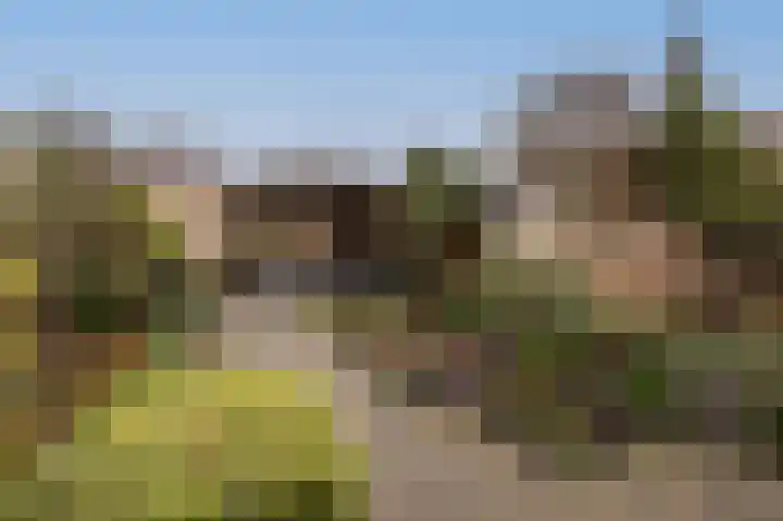 Ravenswey 42 Oud-Beijerland thumbnail 39