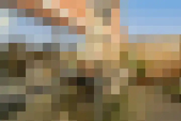 Ravenswey 42 Oud-Beijerland thumbnail 43