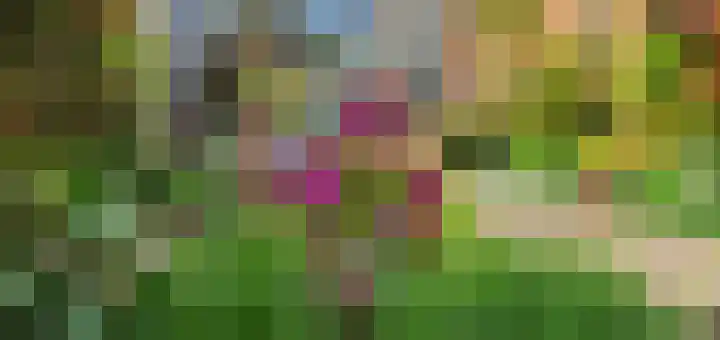 Ravenswey 42 Oud-Beijerland thumbnail 47