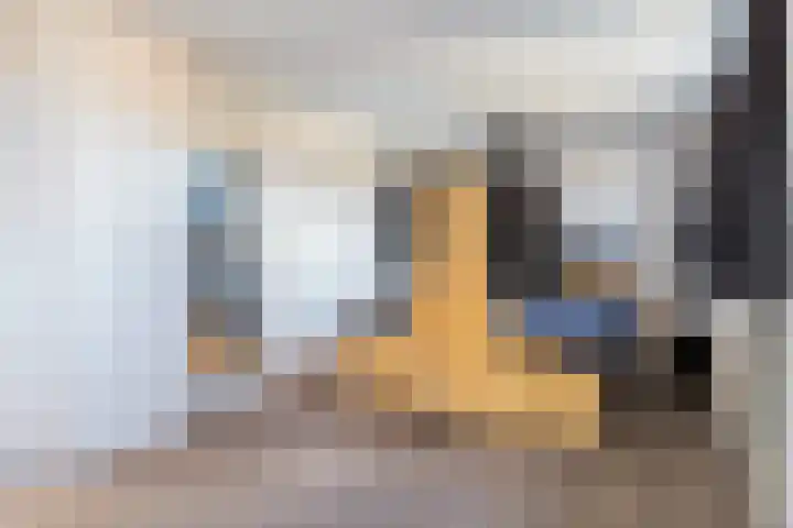 Ravenweg 15 Apeldoorn thumbnail 17