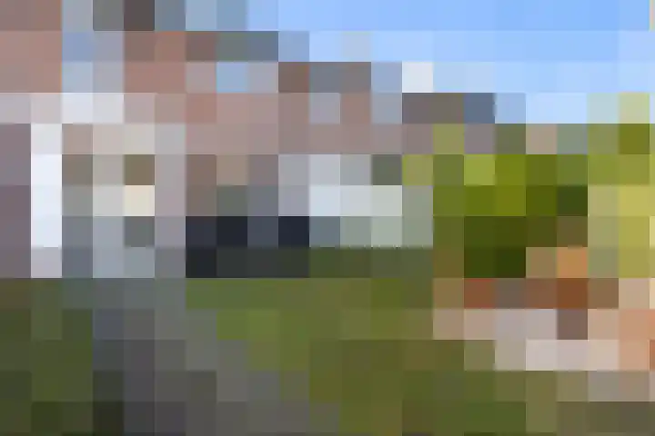 Ravenweg 15 Apeldoorn thumbnail 29