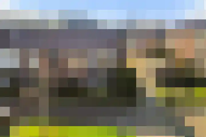 Ravenweg 2 Apeldoorn thumbnail 29