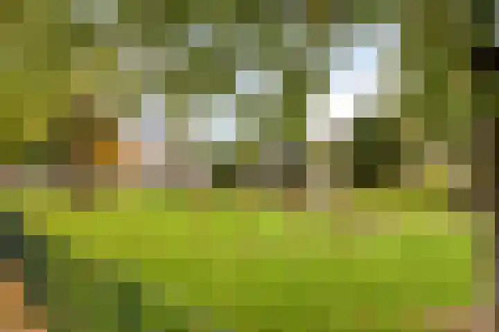 Ravenweg 21 Apeldoorn thumbnail 24