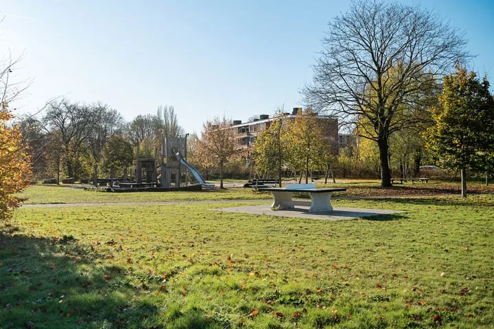 Ravenweg 217 Apeldoorn thumbnail 45