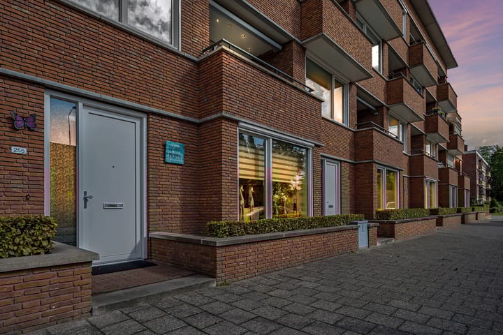 Ravenweg 255 in Apeldoorn foto