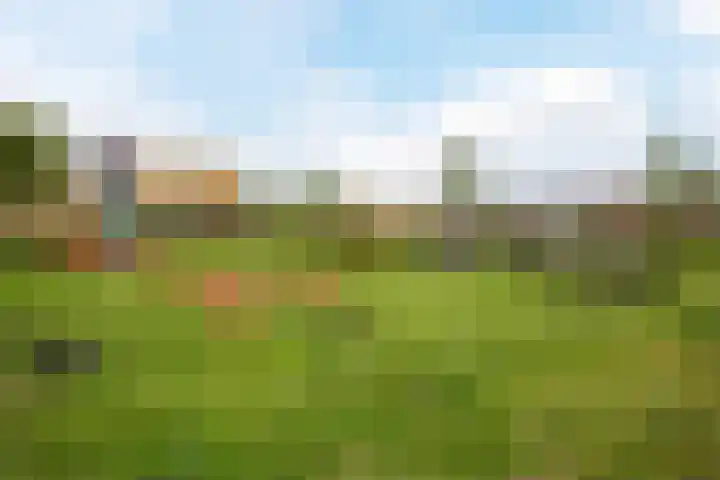 Ravenweg 26 Apeldoorn thumbnail 25