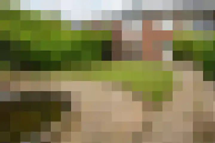 Ravenweg 26 Apeldoorn thumbnail 5