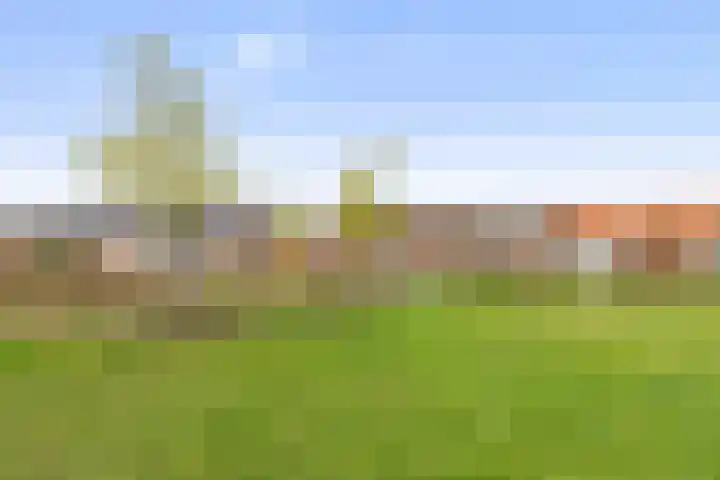 Ravenweg 40 Apeldoorn thumbnail 26