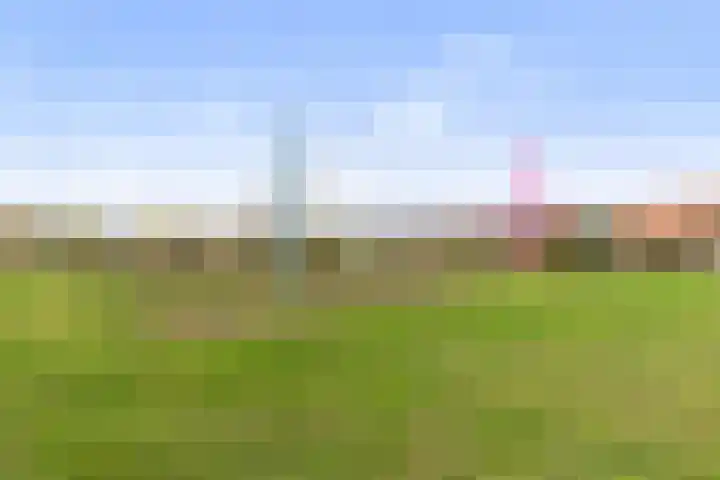 Ravenweg 40 Apeldoorn thumbnail 27