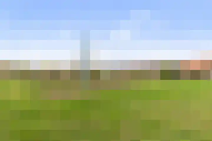 Ravenweg 40 Apeldoorn thumbnail 29
