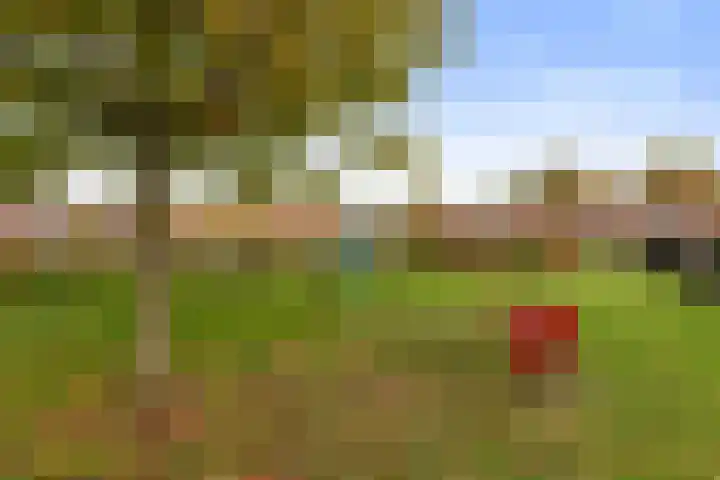 Ravenweg 40 Apeldoorn thumbnail 30