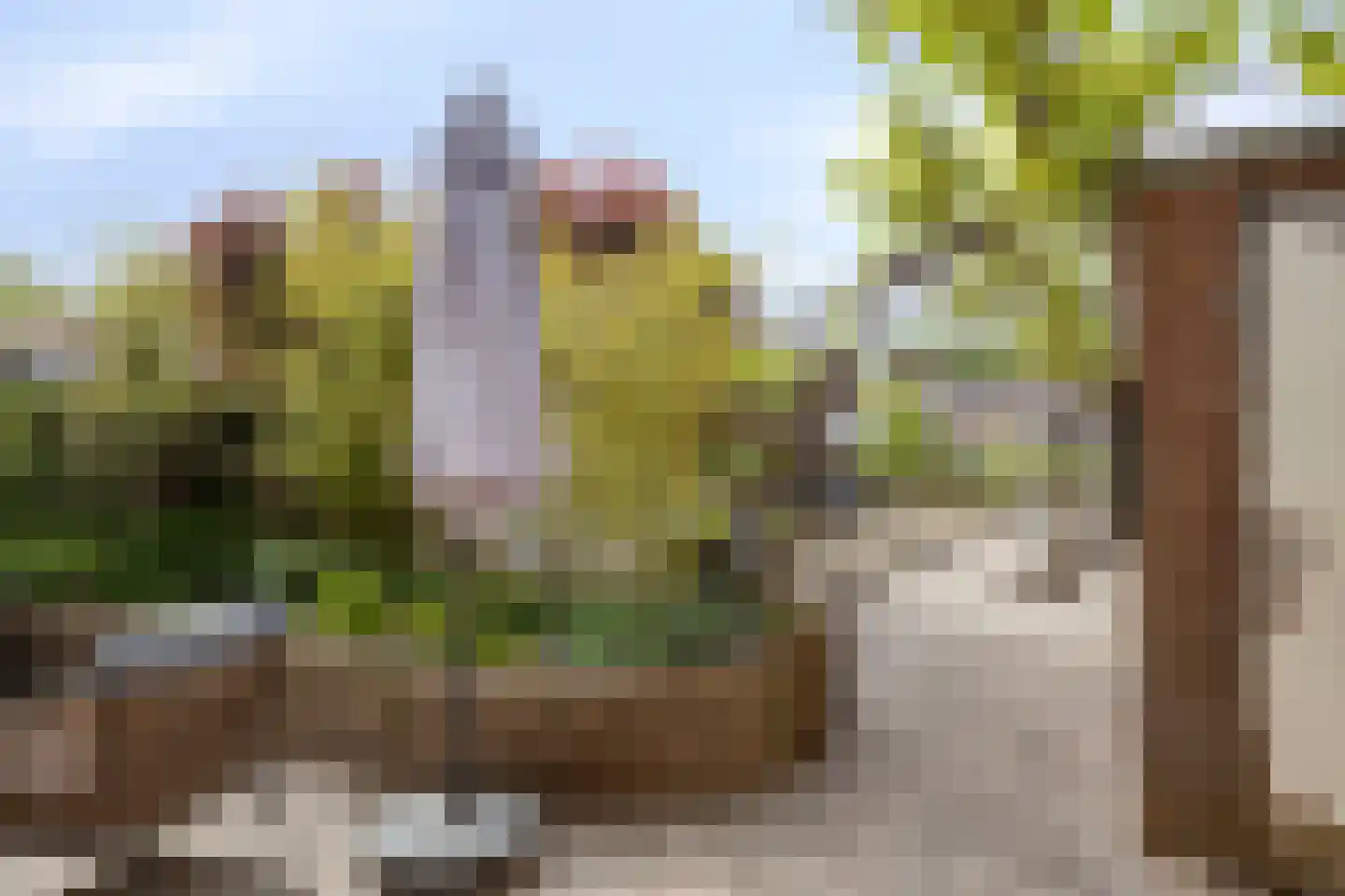 Ravenweg 44 Apeldoorn thumbnail 16