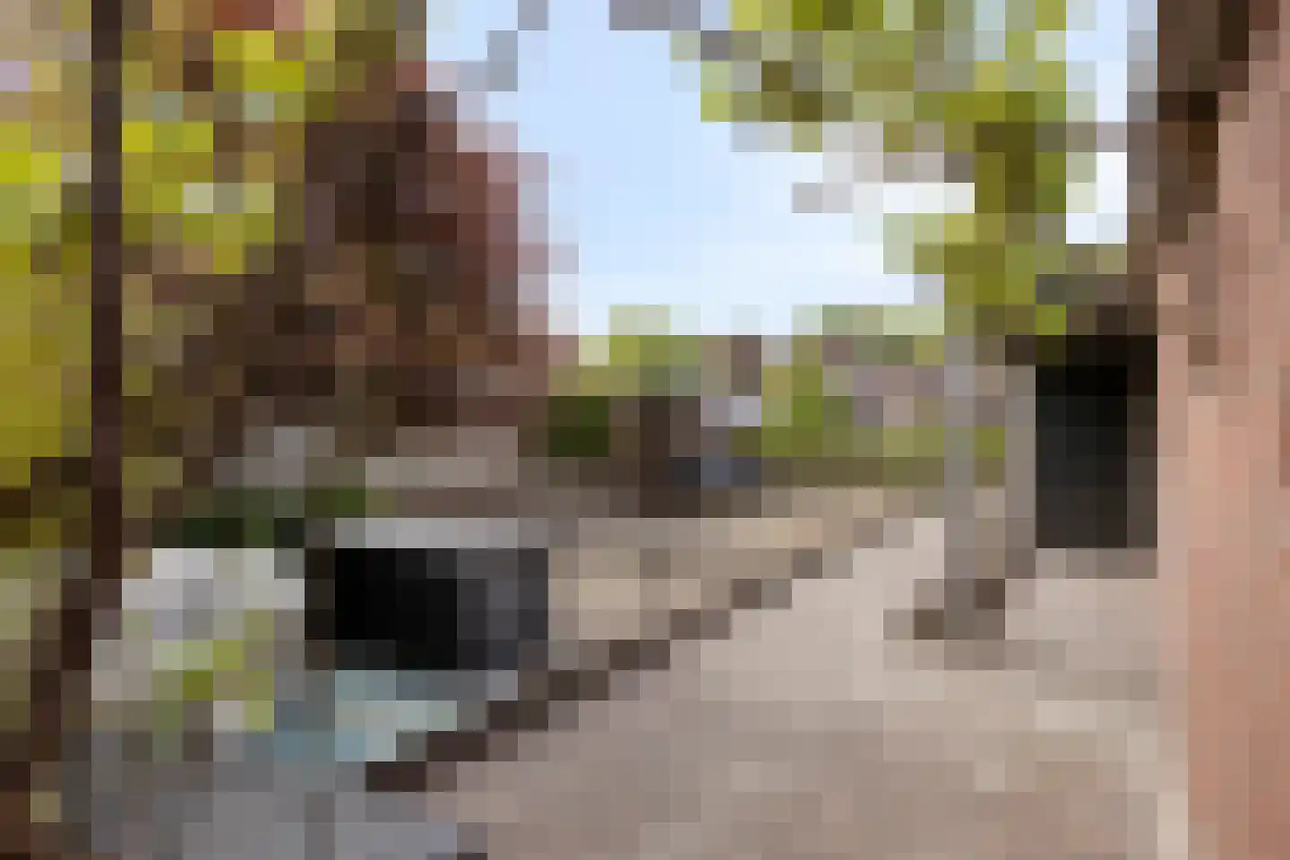 Ravenweg 44 Apeldoorn thumbnail 17
